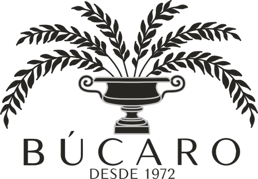 Búcaro, desde 1972